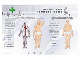 Электрифицированный стенд "Остановка кровотечения" - fgospostavki.ru - Рыбинск