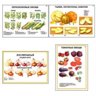 Плакаты ПРОФТЕХ "Ассортимент овощных культур" (12 пл, винил, 70х100) - fgospostavki.ru - Рыбинск
