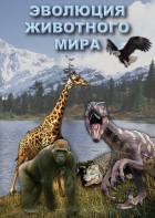 DVD "Эволюция животного мира" - fgospostavki.ru - Рыбинск