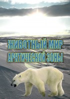 DVD "Животный мир Арктической зоны" - fgospostavki.ru - Рыбинск