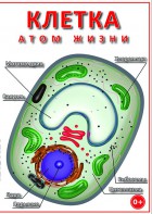 DVD "Клетка - "атом жизни" - fgospostavki.ru - Рыбинск