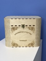 Сундук логопеда "Все для формирования слоговой структуры у неговорящих детей" - fgospostavki.ru - Рыбинск