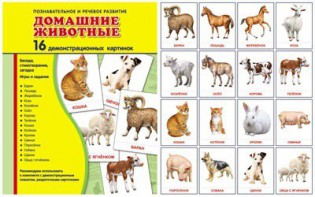 Демонстрационные карточки "Домашние животные" - fgospostavki.ru - Рыбинск