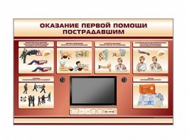 Многофункциональный интерактивный стенд-тренажер "Оказание первой помощи пострадавшим" для учащихся общеобразовательных учреждений - fgospostavki.ru - Рыбинск