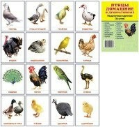 Раздаточные карточки "Птицы домашние и декоративные" - fgospostavki.ru - Рыбинск