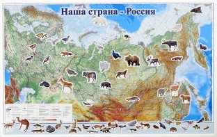 Магнитные карточки "Животные" - fgospostavki.ru - Рыбинск