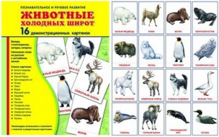 Демонстрационные карточки "Животные холодных широт" - fgospostavki.ru - Рыбинск