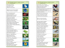 Комплект карточек (10) "Обучающий калейдоскоп. Природа" - fgospostavki.ru - Рыбинск