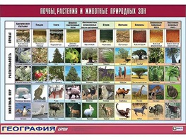 Таблица демонстрационная "Почвы, растения и животные природных зон" (винил 70*100) - fgospostavki.ru - Рыбинск