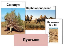 Модель-аппликация "Природные зоны России" (ламинированная) - fgospostavki.ru - Рыбинск