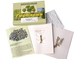 Гербарий "Водоросли. Грибы. Лишайники" (раздаточный) - fgospostavki.ru - Рыбинск