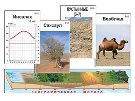 Модель-аппликация "Природные зоны" - fgospostavki.ru - Рыбинск