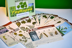 Гербарий к курсу основ общей биологии - fgospostavki.ru - Рыбинск