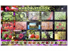 Комплект оборудования "Живой уголок" (растения) с тифлопереводом и сурдокомментариями - fgospostavki.ru - Рыбинск