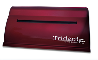 Принтер для печати рельефно-точечным шрифтом Брайля Trident - fgospostavki.ru - Рыбинск
