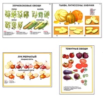 Плакаты ПРОФТЕХ "Ассортимент овощных культур" (12 пл, винил, 70х100) - fgospostavki.ru - Рыбинск