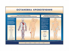 Электрифицированный стенд-тренажер "Остановка кровотечения" - fgospostavki.ru - Рыбинск