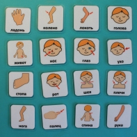 Набор карточек "Части тела" - fgospostavki.ru - Рыбинск