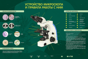 Электрифицированный стенд "Устройство микроскопа и правила работы c ним" - fgospostavki.ru - Рыбинск