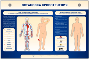 Электрифицированный стенд-тренажер "Остановка кровотечения" - fgospostavki.ru - Рыбинск