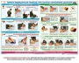 Комплект плакатов "Оказание первой доврачебной медицинской помощи" - fgospostavki.ru - Рыбинск
