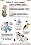 Комплект кодотранспарантов "Ядовитые растения" - fgospostavki.ru - Рыбинск