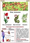 Комплект кодотранспарантов "Ядовитые растения" - fgospostavki.ru - Рыбинск